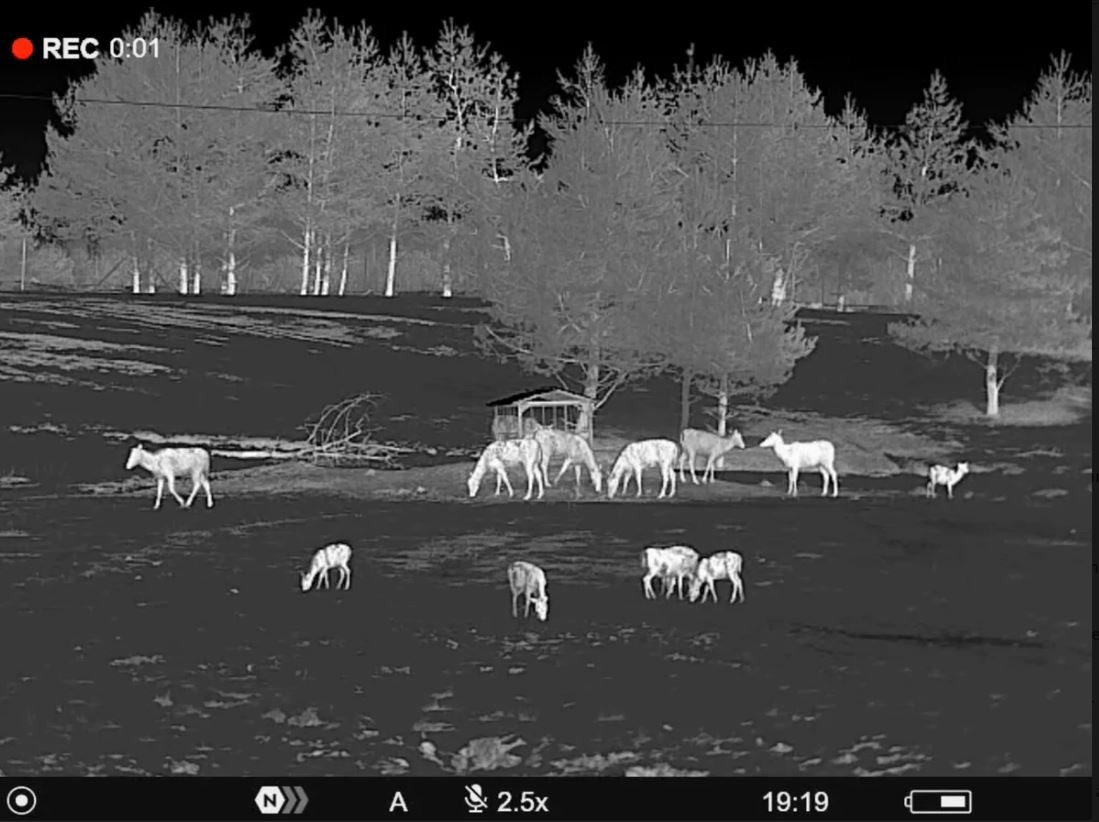 Pulsar TELOS LRF XP50 Thermal Rangefinding Monocular